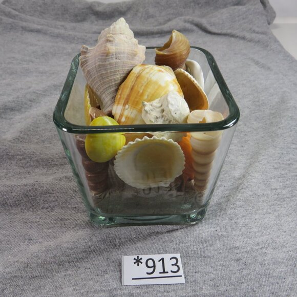 REAL Sea Shells in a Glass Square Vase and sand #6 - Picture 2 of 9